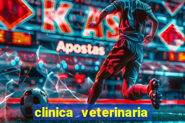 clinica veterinaria cuidar betim